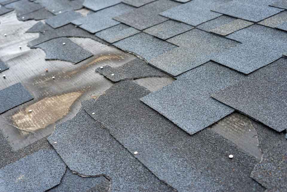 Roof Replacement and Repair Services in Idaho