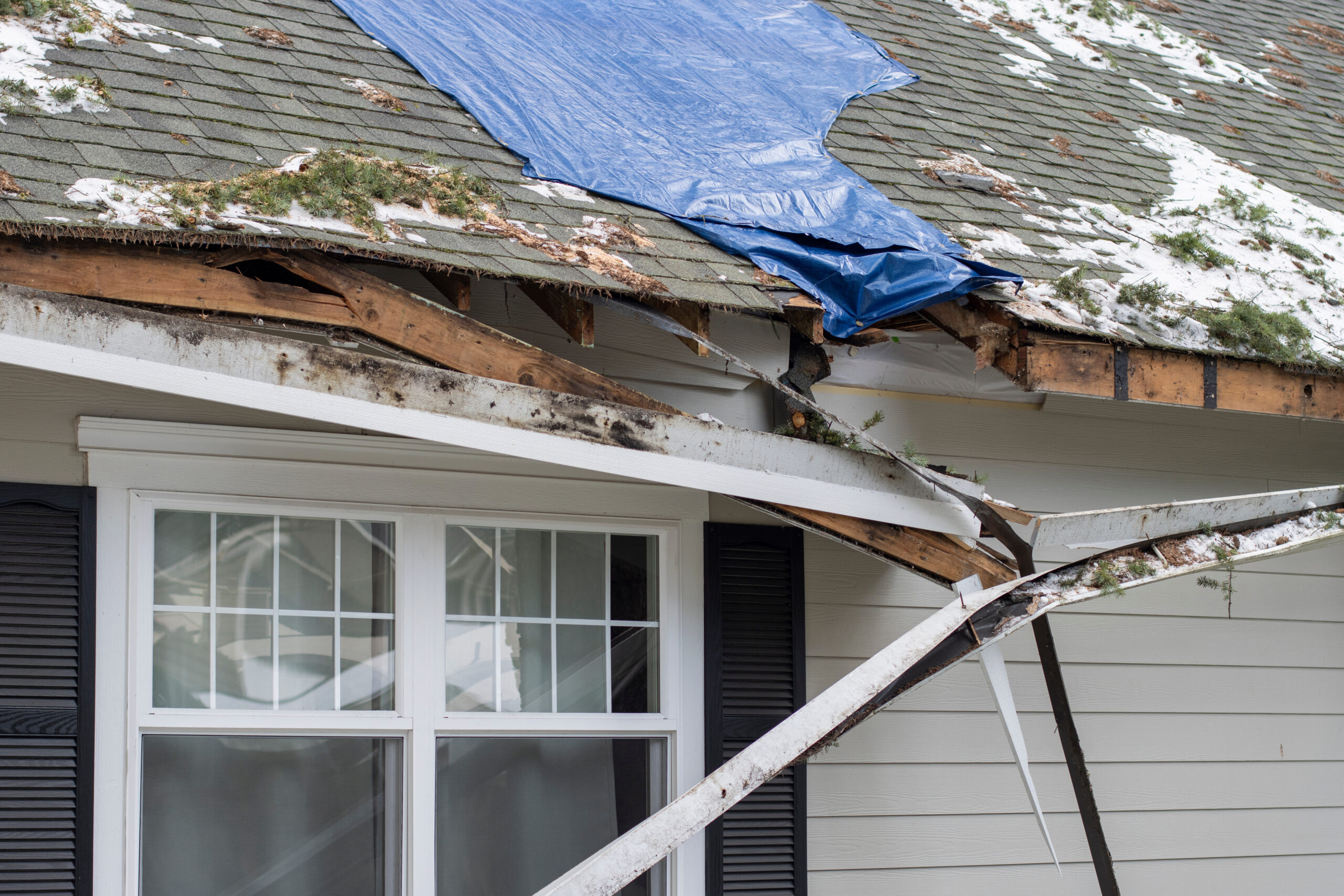 Storm Damage Roofing in Boise: What to Do After Wind or Hail